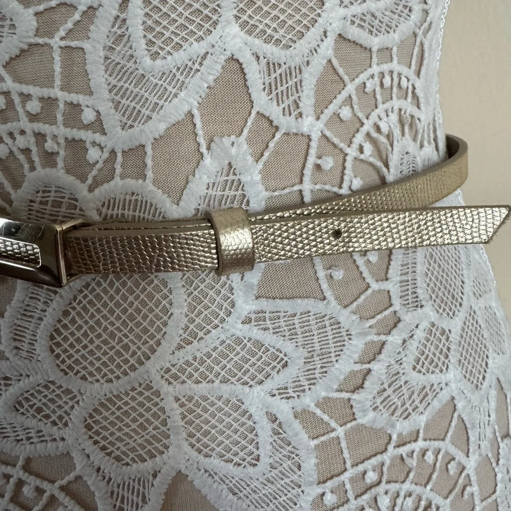 Banana Republic Slim Snake-Print Metallic Gold Leather Belt size Small